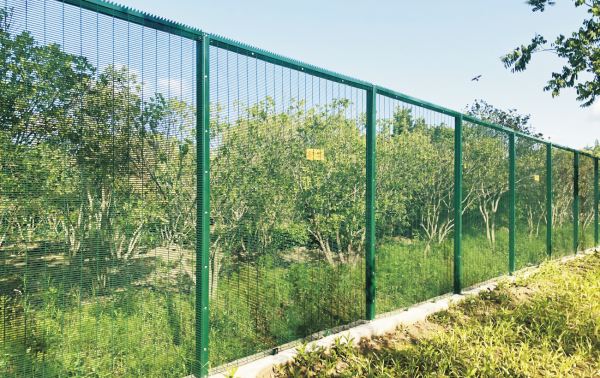 High Level Safety Protection Prison Anti Climb Steel 358 Mesh Fences