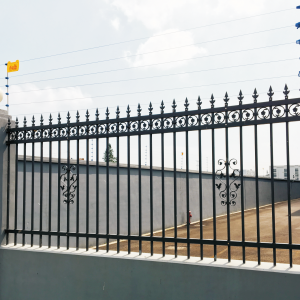 Falme Shape Ornamental Metal Fencing with Patterns