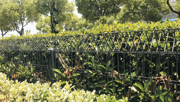 Outdoor Garden Steel Fence